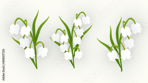 Beautiful lily of valley flower set illustration