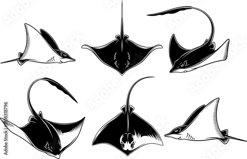 Manta ray and stingray silhouette vector illustration, ocean wildlife design, marine animal artwork set, underwater sea creature collection for nautical themes and aquatic projects
