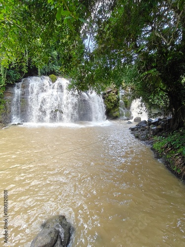 Hidden Waterfall in Green Forest