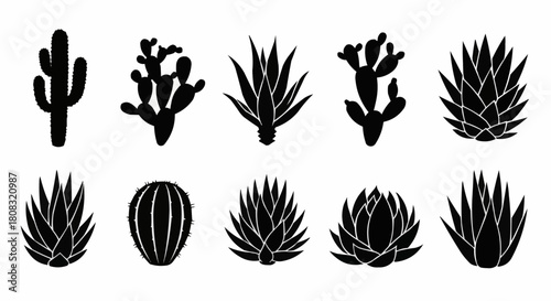 Black silhouette collection of various desert plants and cacti on white background.