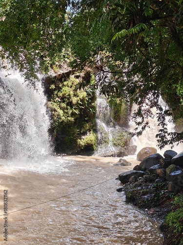Hidden Waterfall in Green Forest