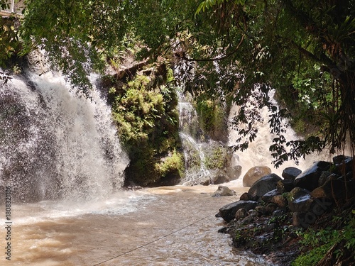 Hidden Waterfall in Green Forest
