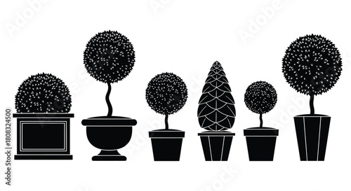Topiary trees vector illustration black and white garden design