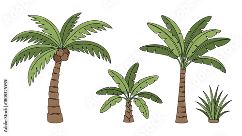Hand-drawn collection of various tropical palm trees and exotic plants