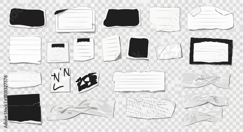 Collection of torn paper pieces with various shapes and textures.