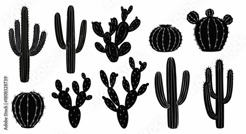 Silhouette collection of various cactus plants in black and white style.