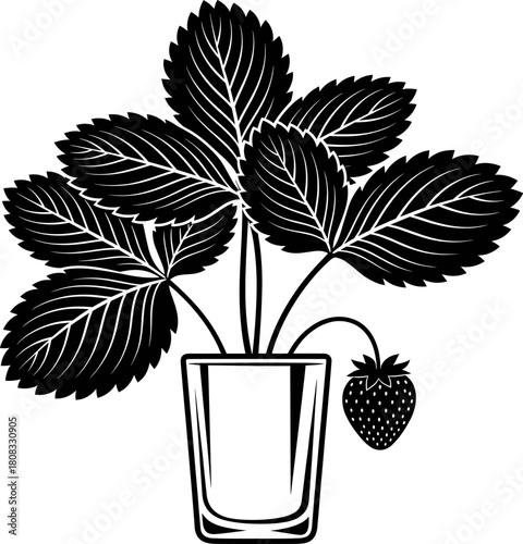 Black and white strawberry plant vector illustration in a pot with detailed leaves and ripe berry, perfect for botanical artwork, gardening designs, and natural decorative projects