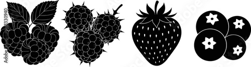 Black and white vector illustration of assorted berries including raspberries, blackberries, strawberries, and blueberries, perfect for food artwork, botanical designs, packaging, 