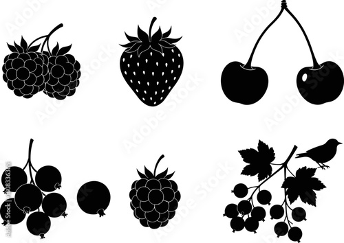 Collection of assorted berry silhouettes including raspberry, strawberry, cherry, currant, and bird on branch, perfect for botanical vector design, natural food illustration, organic themes