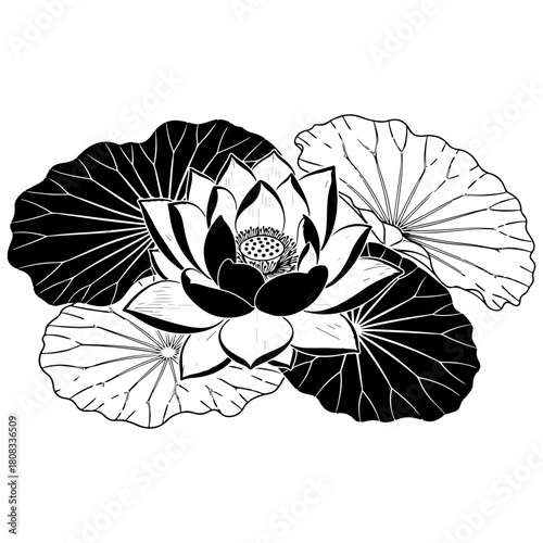 A black-and-white lotus illustration with strong contrast, featuring large petals and leaves. Artistic and expressive style.