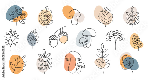 A collection of delicate line art illustrations featuring various autumn nature elements like leaves, mushrooms, and acorns with subtle abstract color accents.