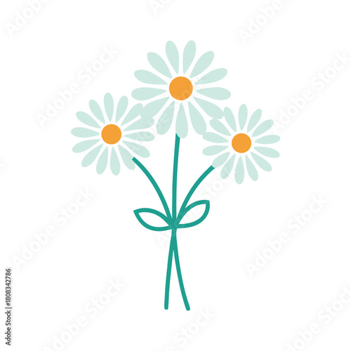 Three simple illustrated daisy flowers with teal stems and bow. isolated on white background