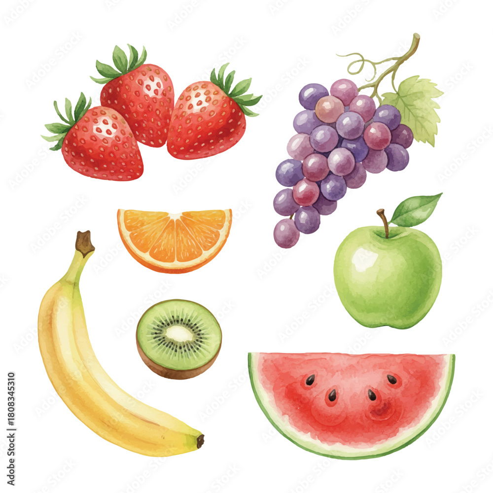 Fototapeta premium watercolor fruits illustration bundle collection