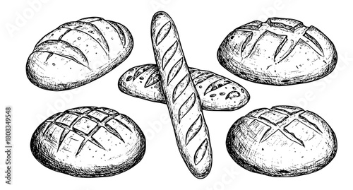 Set of bread vector illustrations - hand drawn bread - black and white bread isolated on white background