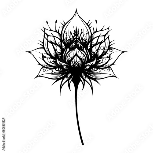 Black and White Lotus Flower Illustration