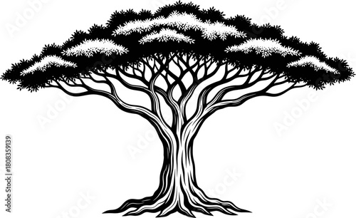 Detailed silhouette illustration of acacia tree with strong trunk and spreading branches, savanna landscape design, natural ecosystem concept, vector graphic artwork