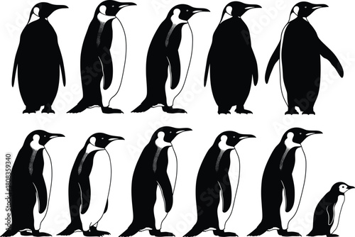 Emperor penguin silhouette vector illustration, black and white wildlife design, cute animal drawing for nature education, arctic bird art, and graphic decoration