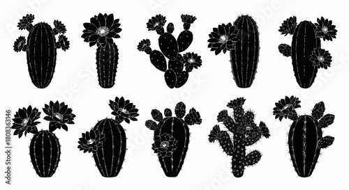 Collection of black silhouette cactus plants with blooming flowers.