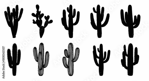 Black cactus silhouettes collection on white background desert plants illustration.