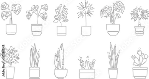 Set of different various flowers plants on the pot as sketch art or silhouette vector or line art of pot plants.