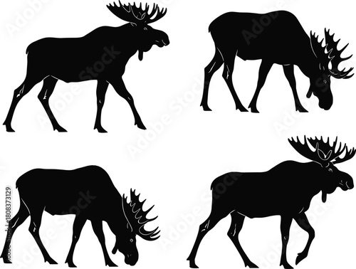 Moose animal silhouettes vector set, wild elk and deer walking and grazing poses illustration for wildlife, forest, nature, outdoor adventure, and hunting design themes