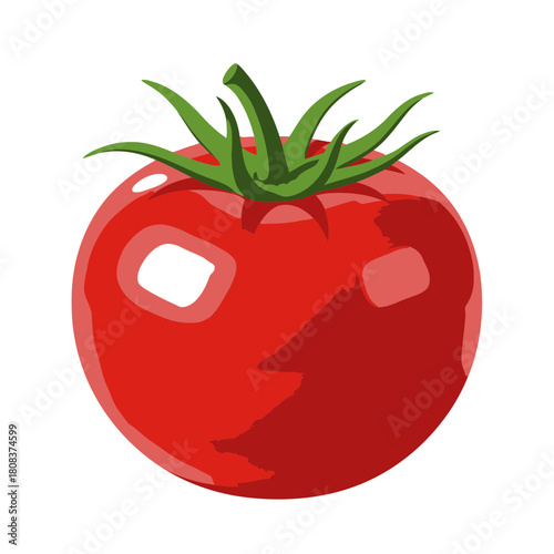 Vibrant illustration of a single red tomato with a green stem and leaves, perfect for cooking, isolated on