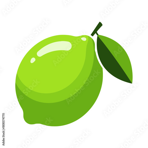 Vibrant green lime fruit with a small stem and leaf illustration, isolated on