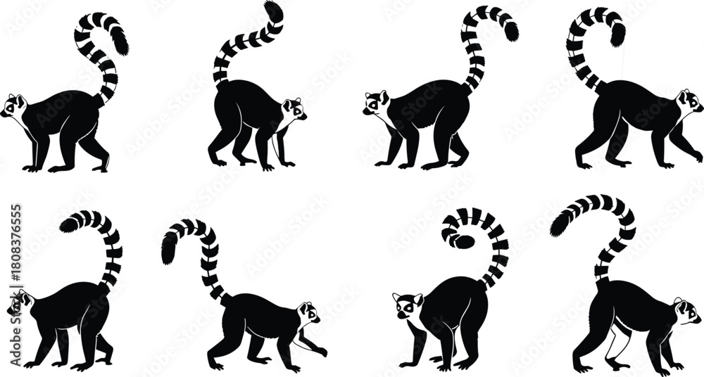 Naklejka premium Ring-tailed lemur silhouette set, cute Madagascar primates with long striped tails, standing and walking, for zoo and wildlife projects.