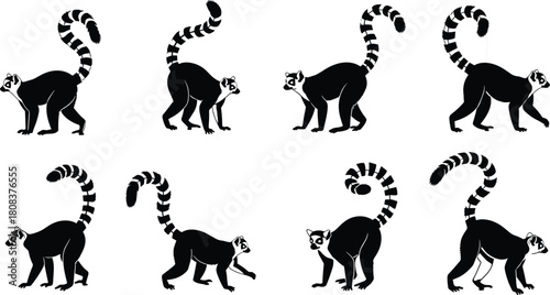 Ring-tailed lemur silhouette set, cute Madagascar primates with long striped tails, standing and walking, for zoo and wildlife projects.