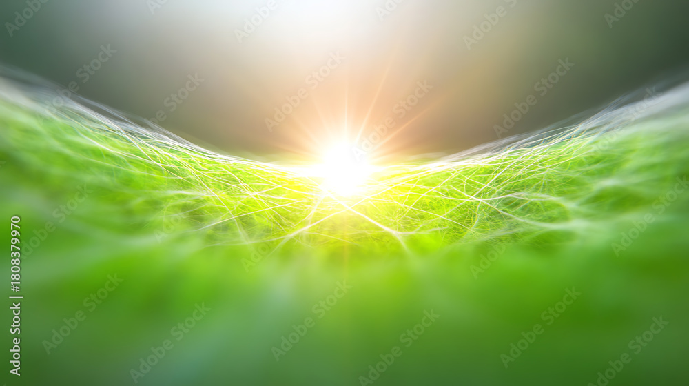 Naklejka premium A serene view of sunlight emerging over a lush green landscape, symbolizing growth and the beauty of nature's renewal.