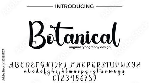 Botanical - Elegant Script Font for Smooth Handwritten Design and Creative Typography