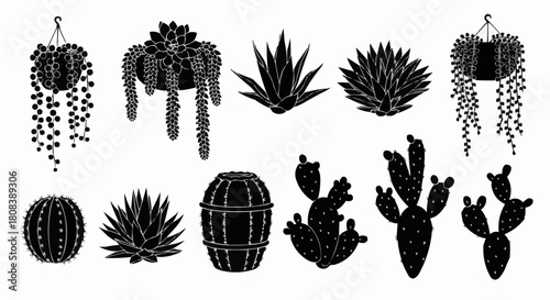 Collection of Various Succulent and Cactus Plants Silhouettes.