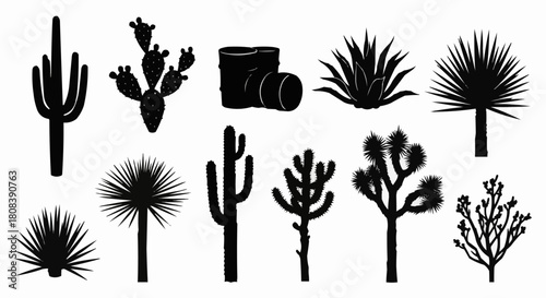 Collection of Desert Plants and Cacti Silhouettes.