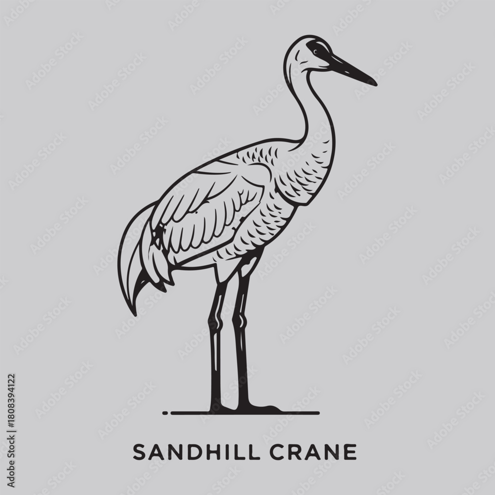 Naklejka premium Crane Collection of Wild Animal Vector Illustration