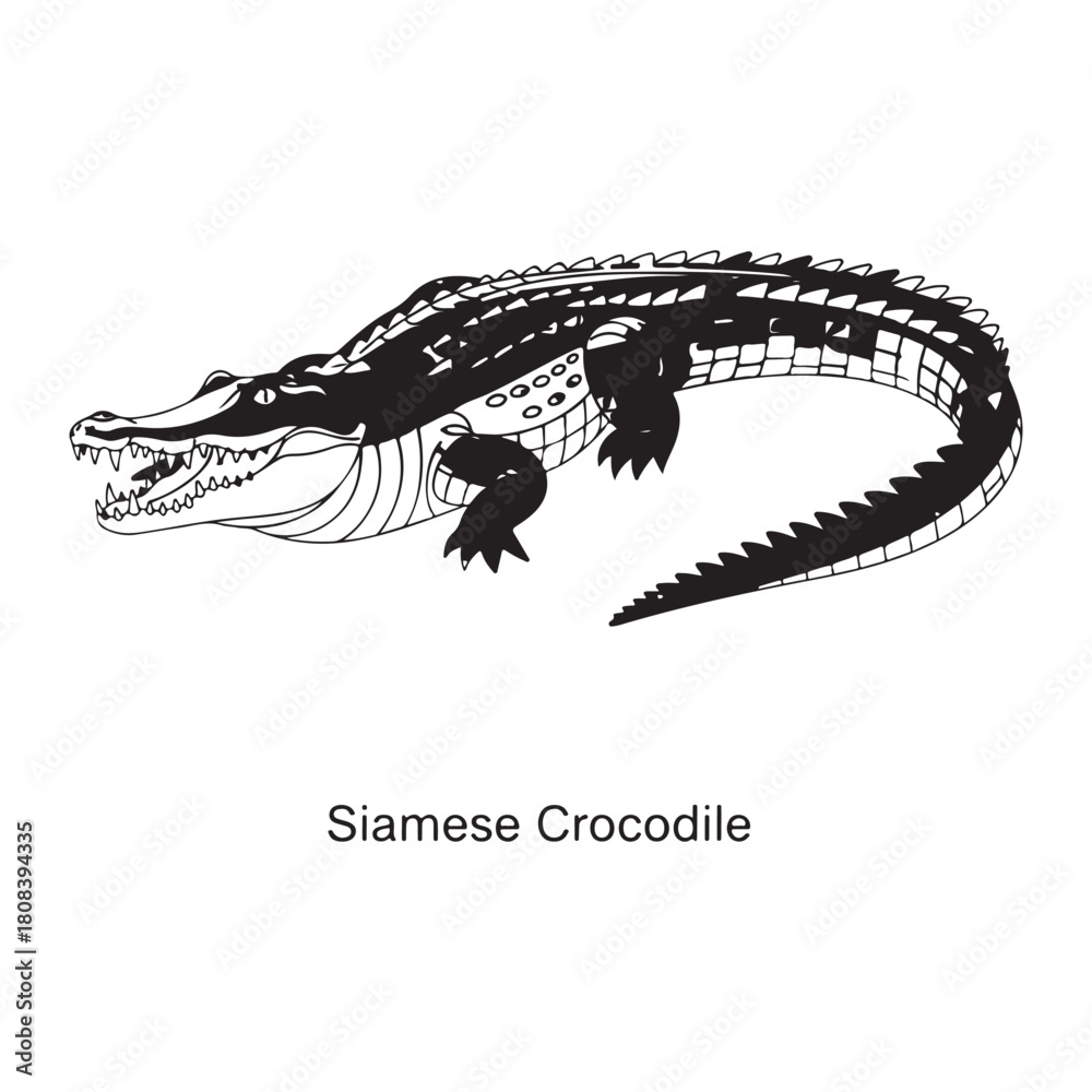 Naklejka premium Crocodile, Crane Collection of Wild Animal Vector Illustrations