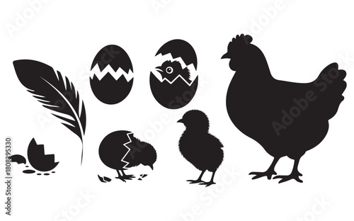 Chicken Life Cycle Silhouette Vector. Hen, Eggs, and Chicks Illustration.