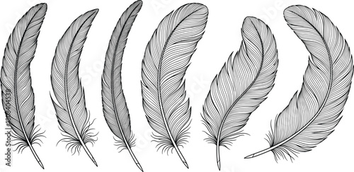 Set of hand drawn feather sketch vector illustration, vintage engraving style bird wing quill collection, isolated on white background, decorative monochrome design elements.
