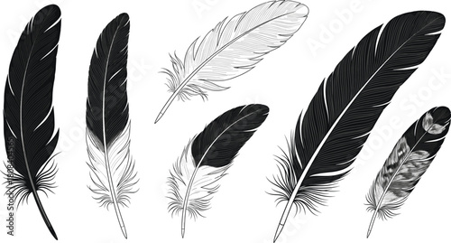 Set of hand drawn black feathers, vintage engraving style vector illustration, isolated bird wing quill collection, monochrome sketch design elements, nature art.
