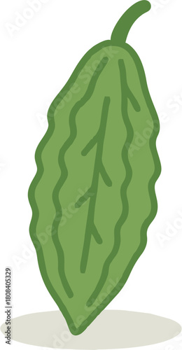 Bitter Melon Flat Icon
