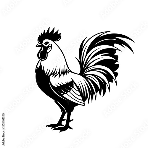 A bold and graphic black and white illustration of a standing rooster, perfect for a farm animal logo or poultry branding
