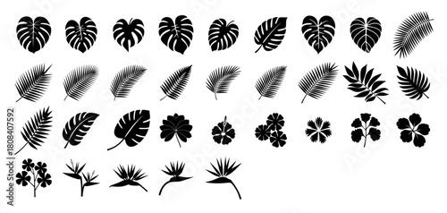 Tropical Plant Leaves and Exotic Flower Icons Set, Palm, Monstera and Hibiscus Graphic elements. Black Vector Silhouettes Illustration