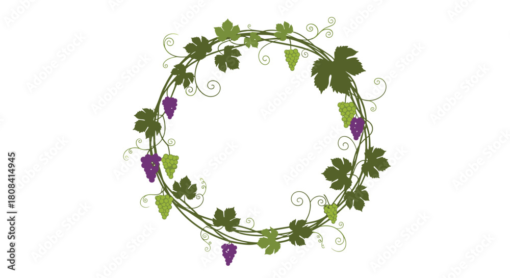 Fototapeta premium A beautiful circular wreath frame made of green grapevine leaves tendrils and purple and green grapes on a white background.