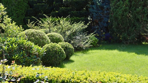 A sunny, tranquil garden scene featuring manicured spherical boxwood shrubs and various evergreen plants bordering a vibrant, freshly cut green lawn.