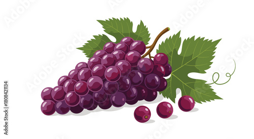 A realistic bunch of ripe purple grapes with green leaves and a vine is illustrated in a detailed and vibrant style.