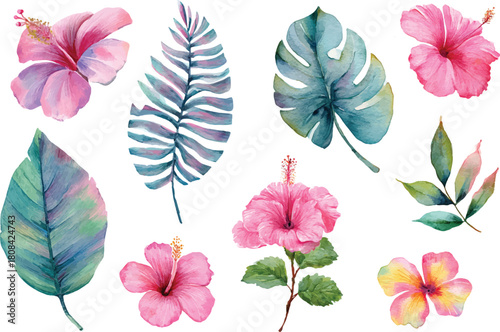 watercolor pink tropical flowers set hand drown illustration