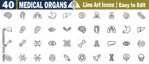 Medical Organs Line Art Icons. Collection Vector Illustration Set of Human Anatomy, Healthcare, Scientific, Biological Signs Design, and more Elements Isolated on Transparent Background.