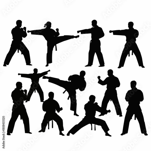 Silhouettes of martial artists in various dynamic poses showcasing different karate moves and techniques.