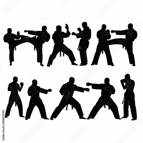 Silhouettes of Martial Artists in Various Fighting Stances.