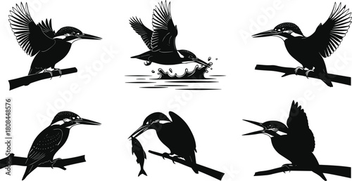 Kingfisher silhouette vector set, flying and perched birds, fishing action poses, wildlife illustration elements, black bird icons for nature design