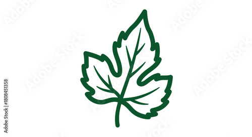 Single green leaf with jagged edges, isolated on a white background.